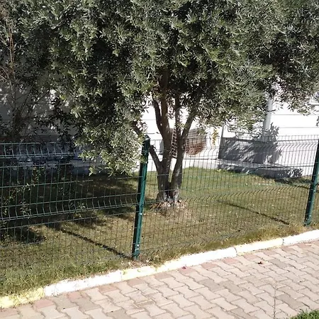 Villalemoon Villa